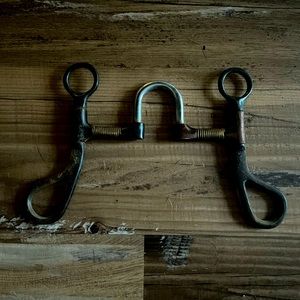 Correction horse bit